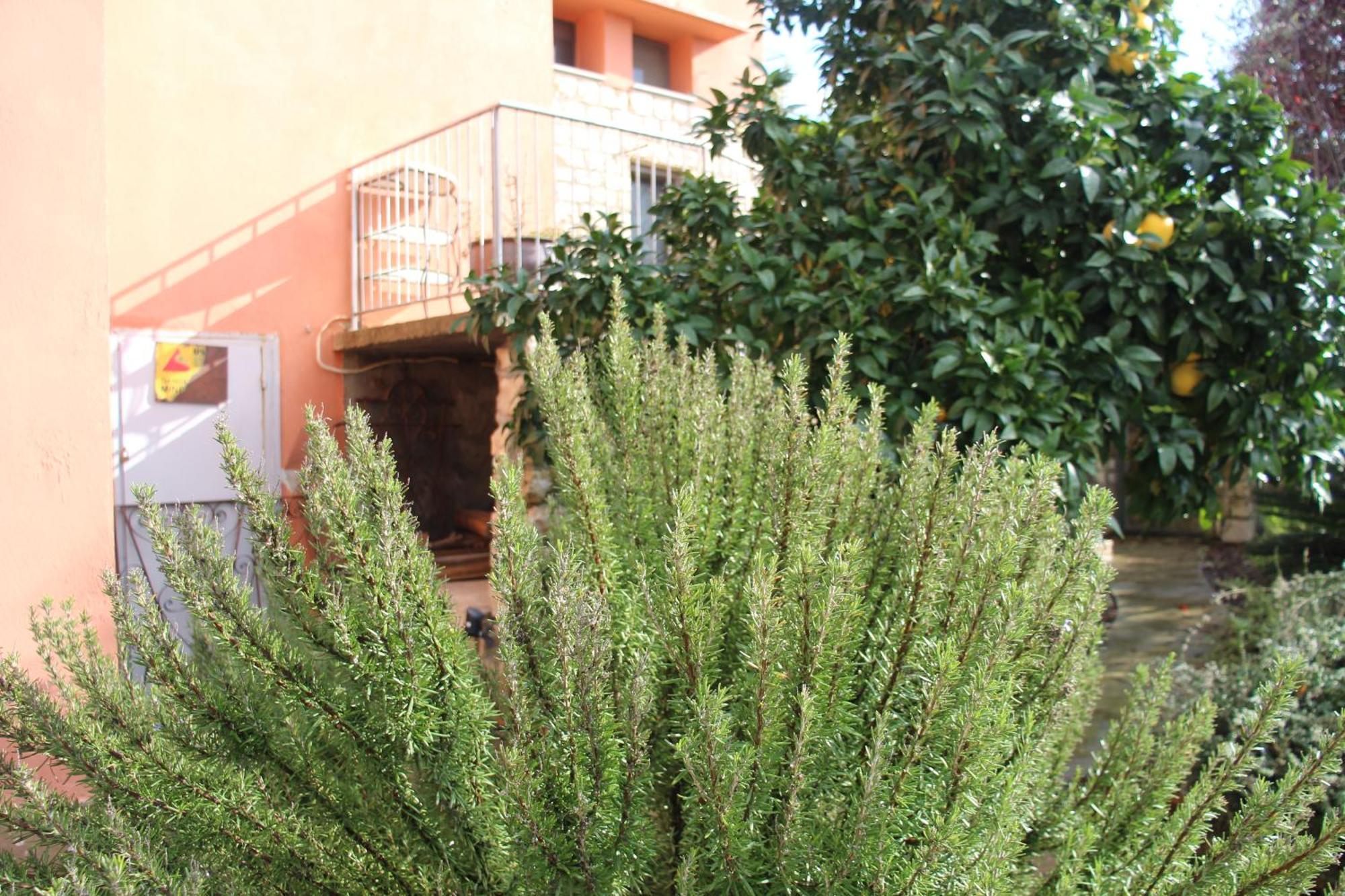 Artists' Colony Inn Zefat Exterior photo